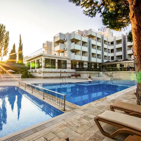 Akbulut & Guzelcamlı