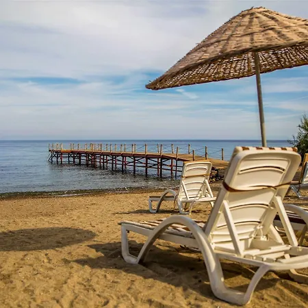 Akbulut & Station touristique Guzelcamlı