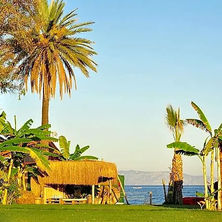 Complex Akbulut&spa